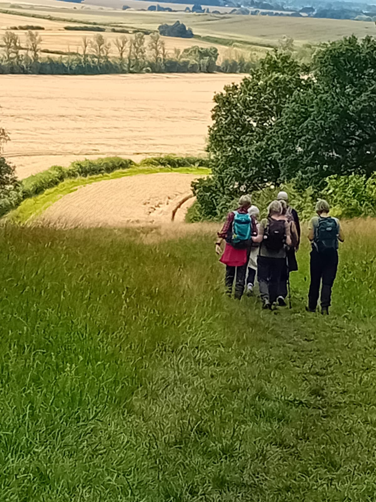 People walking in a field