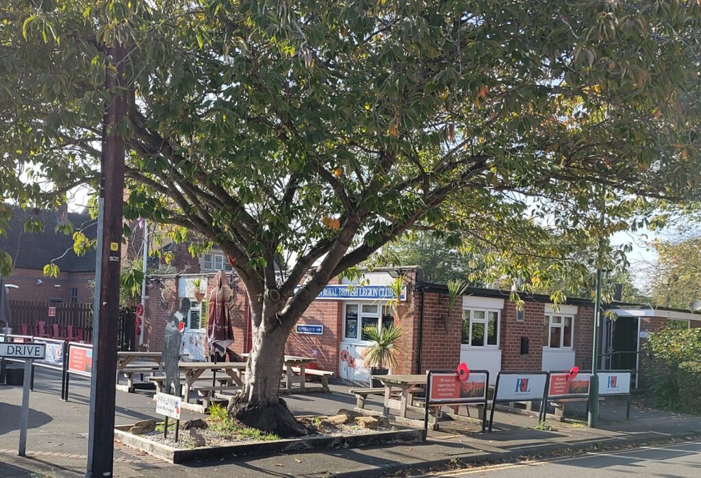 Royal British Legion, Wollaton, under a large tree
