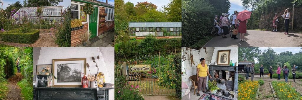 Collage of various photos of St Anns Allotments, Nottingham